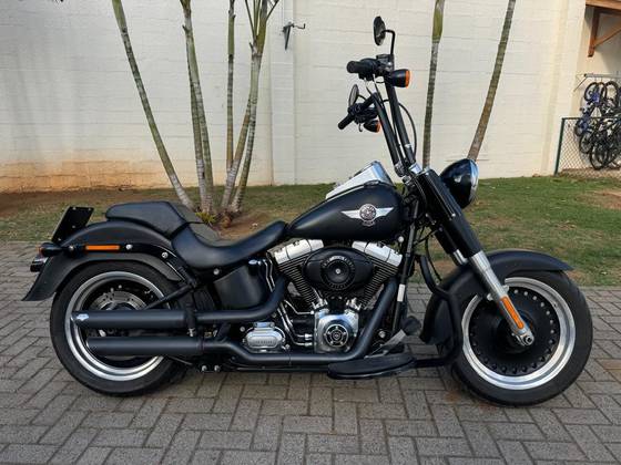 HARLEY-DAVIDSON SOFTAIL FAT BOY SPECIAL 